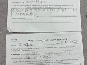 Masonville Cove Student work